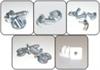 Screws & Bolts